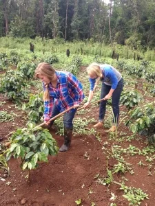 Hands-on service projects in Southeast Asia